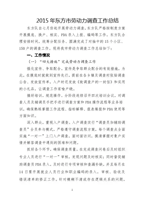 2015劳动力调查工作总结 修改版
