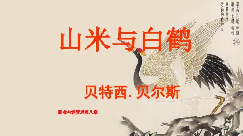 职业生涯管理第八章