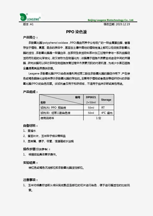 PPO染色液