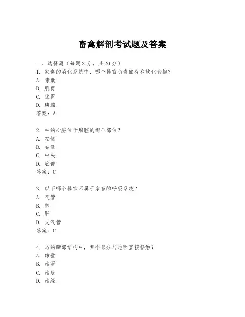 畜禽解剖考试题及答案