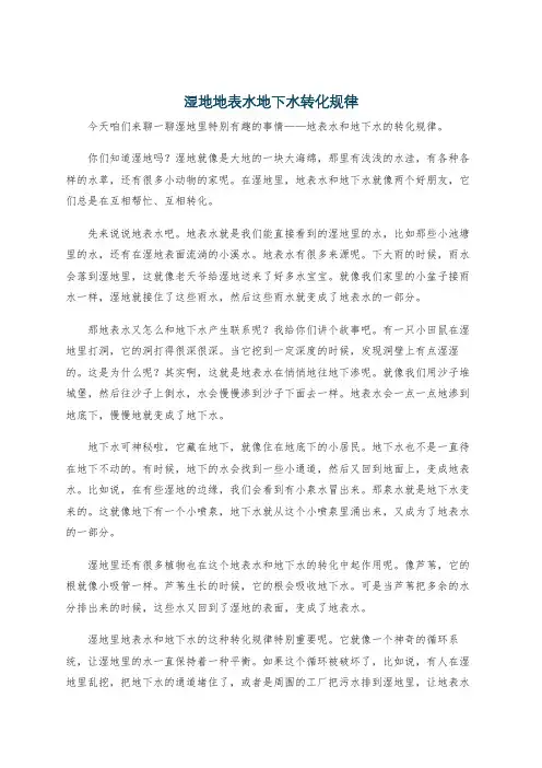 湿地地表水地下水转化规律