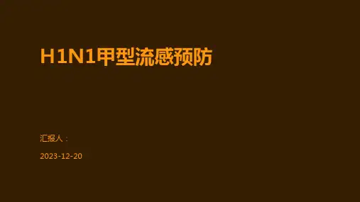 H1N1甲型流感预防