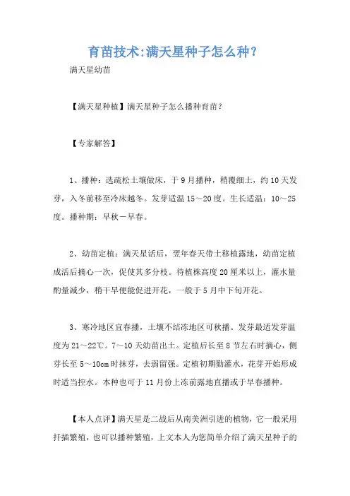 育苗技术-满天星种子怎么种？