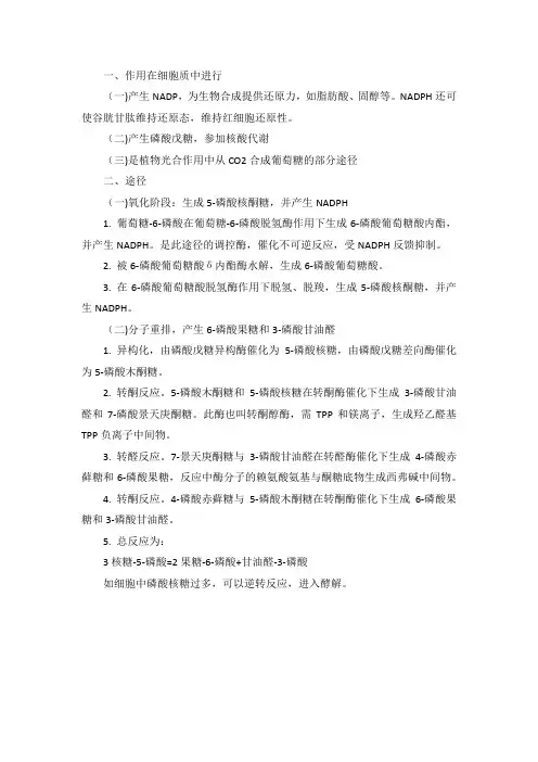 糖类代谢磷酸戊糖途径