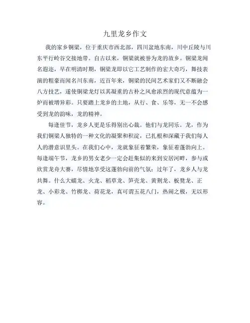 九里龙乡作文