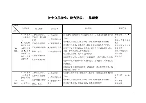 护士分层标准