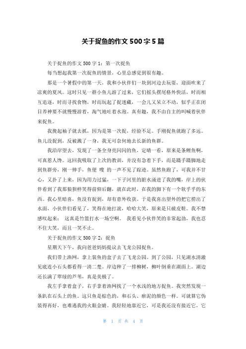 关于捉鱼的作文500字5篇