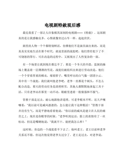 电视剧特赦观后感