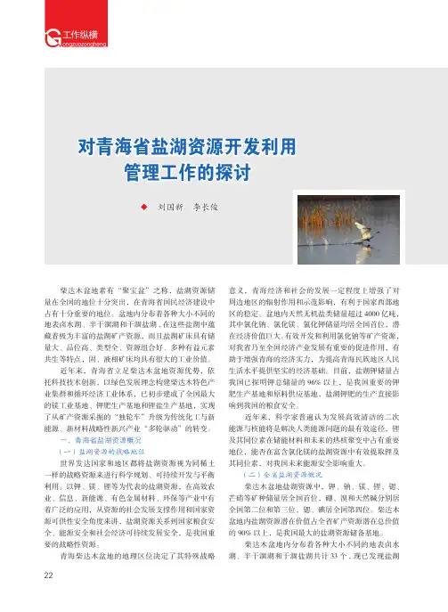 对青海省盐湖资源开发利用管理工作的探讨