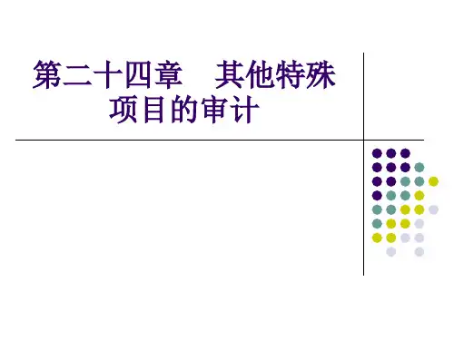 其他特殊项目的审计(PPT33页)