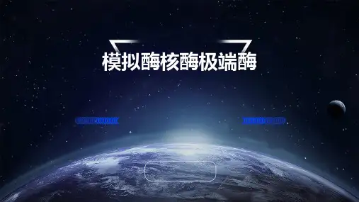 模拟酶核酶极端酶
