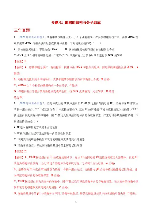 细胞的结构与分子组成 -(2021-2023)3年高考1年模拟生物真题分项汇编(山东专用)(解析版)