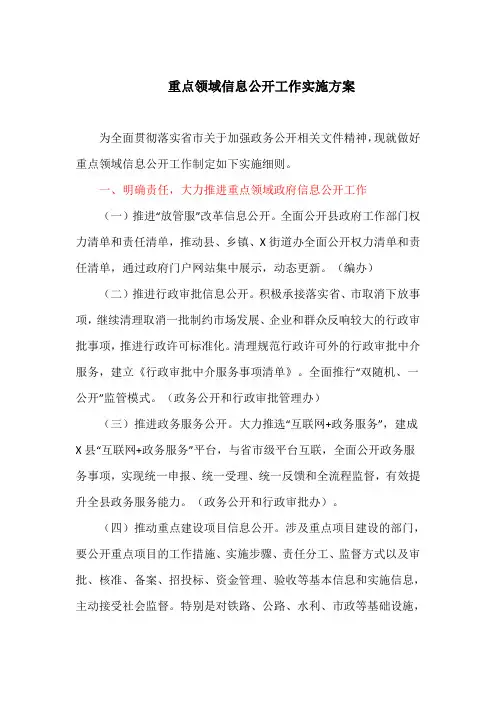 重点领域信息公开工作实施方案