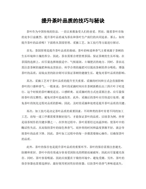 提升茶叶品质的技巧与秘诀