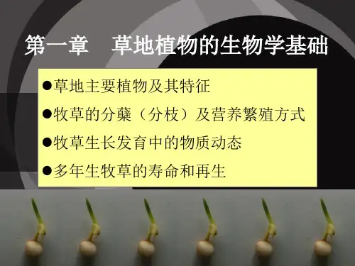 草地学第一章草地植物生物学基础