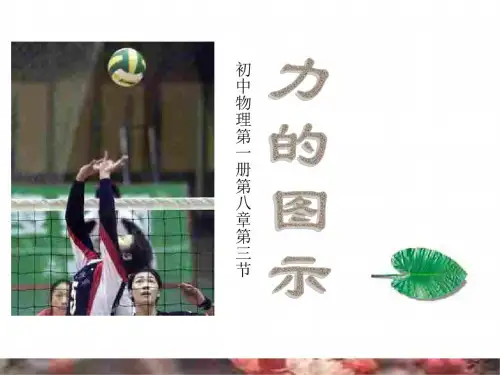 初二物理上学期力的图示
