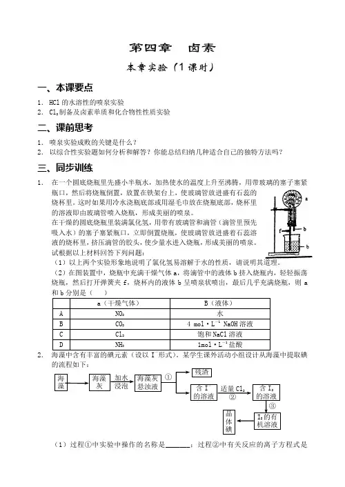 【襄樊五中】第四章 《卤素的相关实验》