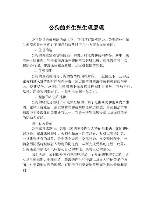 公狗的外生殖生理原理