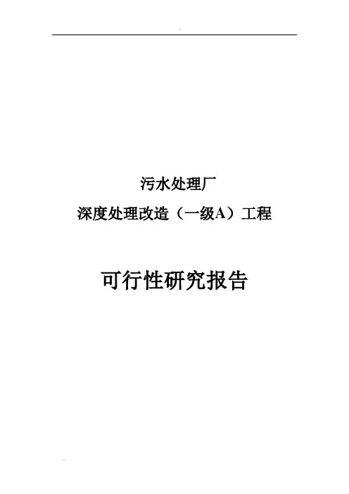 污水处理厂深度处理改造(一级A)工程可行性研究报告
