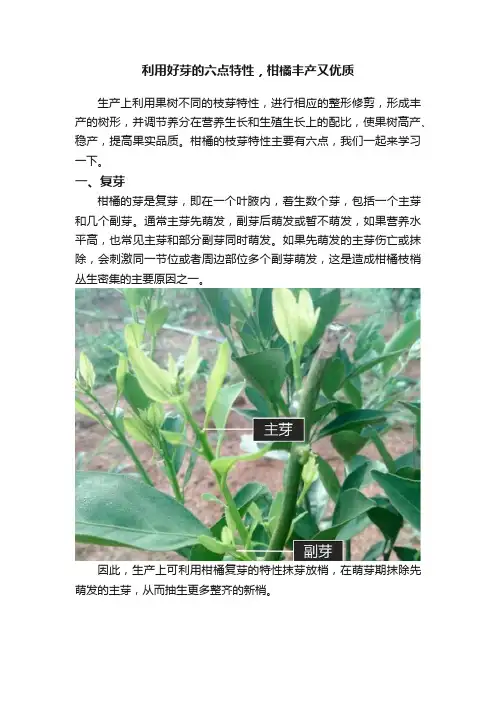 利用好芽的六点特性，柑橘丰产又优质