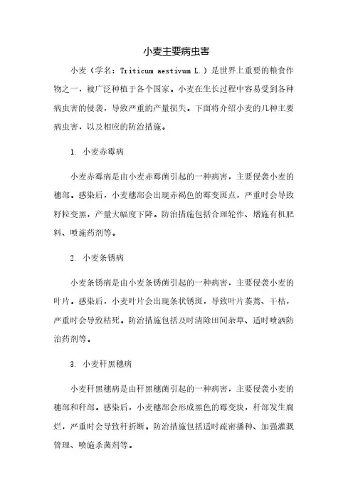 小麦主要病虫害