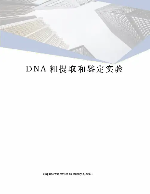 DNA粗提取和鉴定实验
