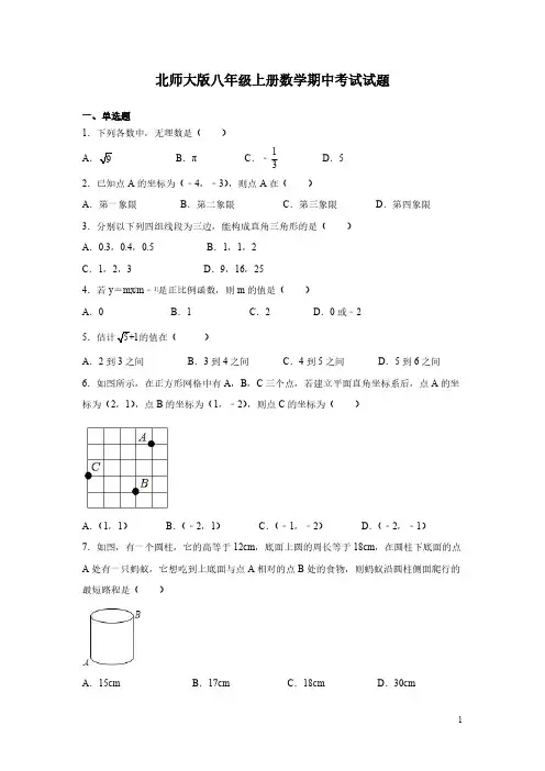 北师大版八年级上册数学期中考试试卷含答案
