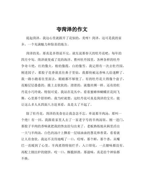 夸菏泽的作文