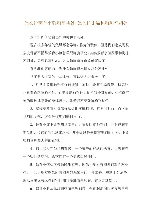 怎么让两个小狗和平共处-怎么样让猫和狗和平相处