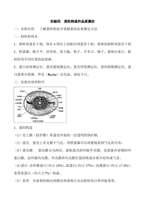 实验四  蛋的构造和品质测定