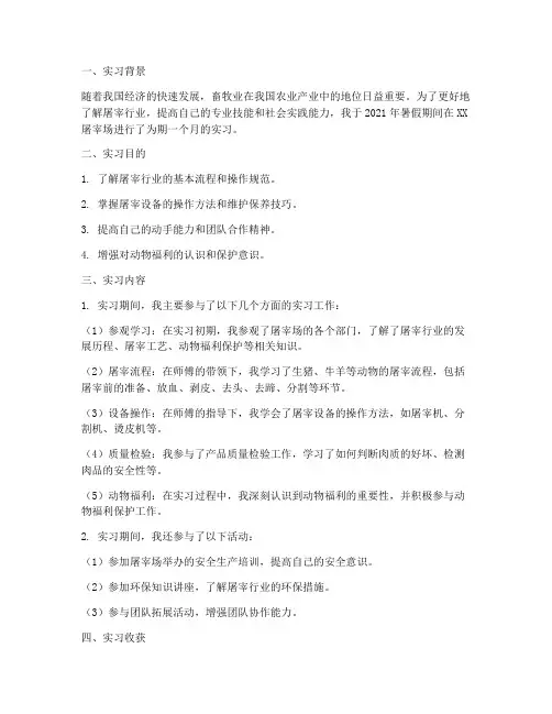 在屠宰场实习实践报告