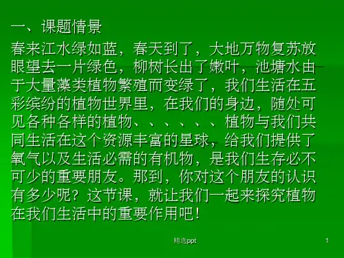 植物与我们的生活ppt课件