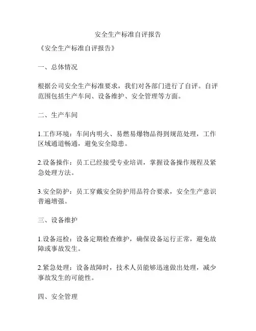 安全生产标准自评报告