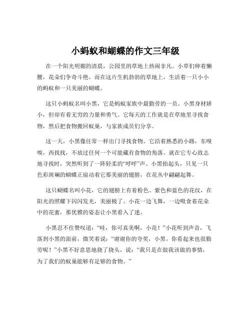 小蚂蚁和蝴蝶的作文三年级