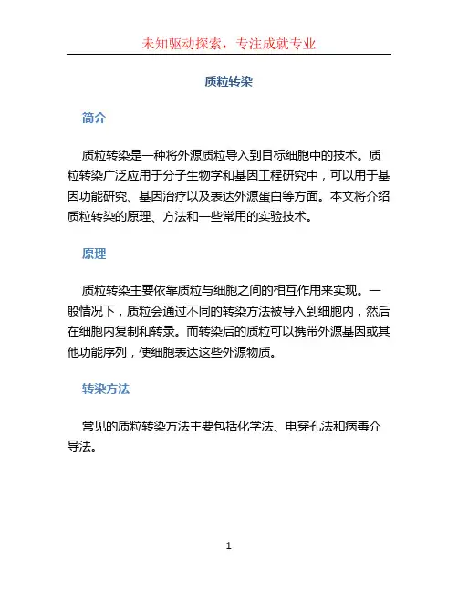 质粒转染文档