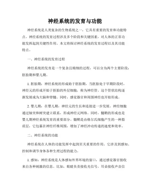 神经系统的发育与功能