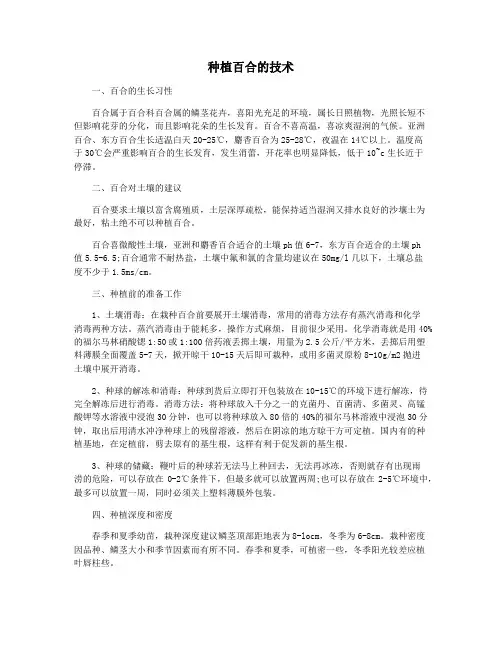种植百合的技术