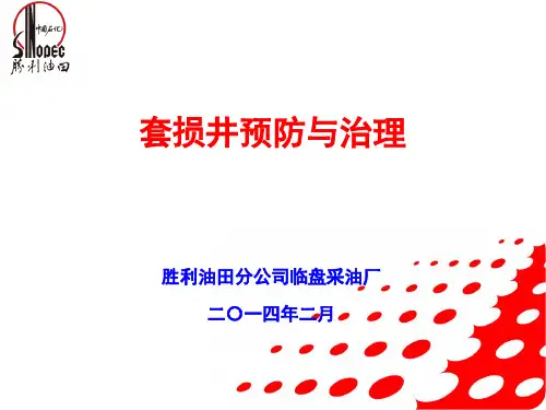 15.套损井预防与治理
