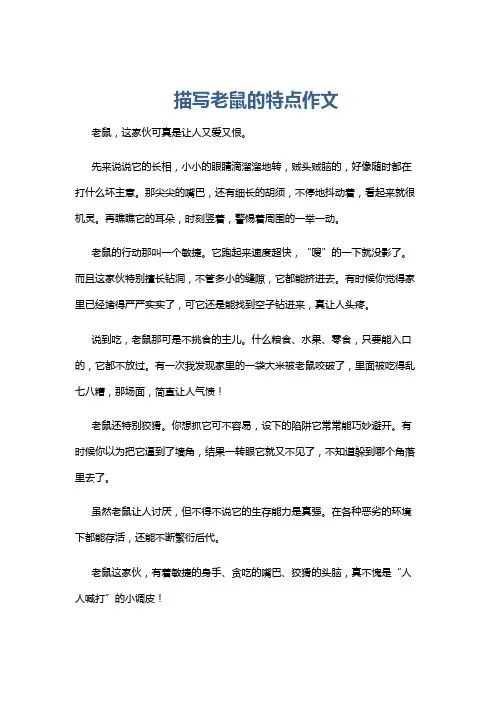 描写老鼠的特点作文