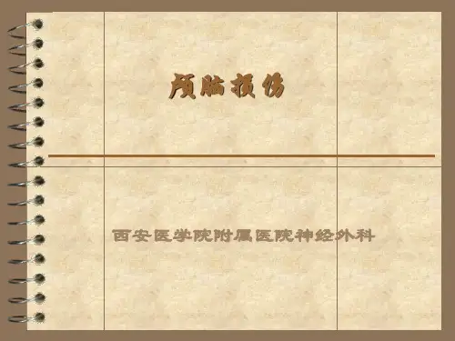 颅脑损伤PPT课件