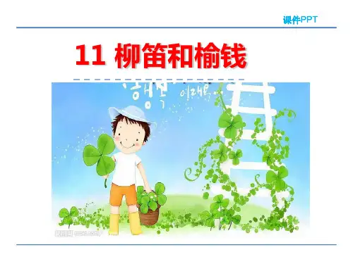 课件PPT柳笛和榆钱课件PPT-PPT课件 