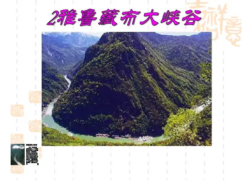 小学语文人教版四年级上册《雅鲁藏布大峡谷》ppt课件