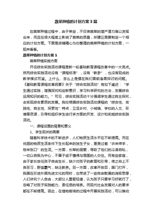 蔬菜种植的计划方案3篇