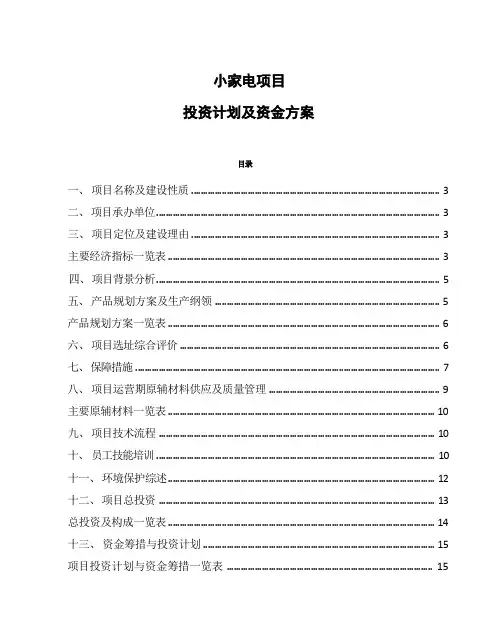 小家电项目投资计划及资金方案
