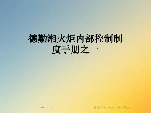 德勤湘火炬内部控制制度手册之一