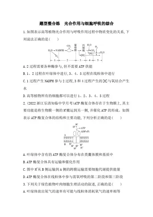 浙科版高中生物必修1第三章细胞的代谢题型整合练含答案
