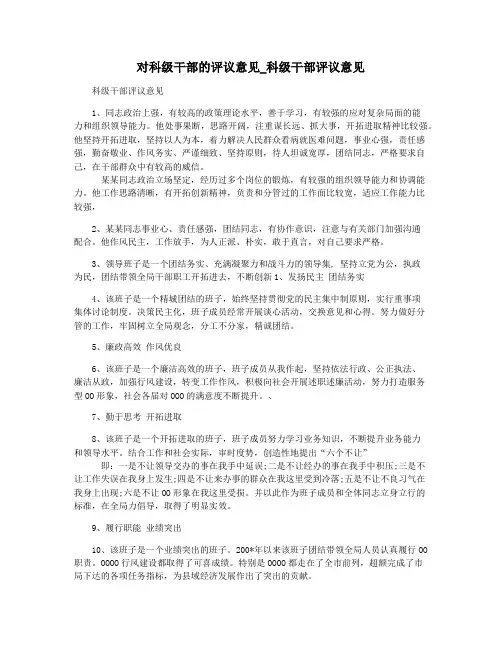 对科级干部的评议意见_科级干部评议意见