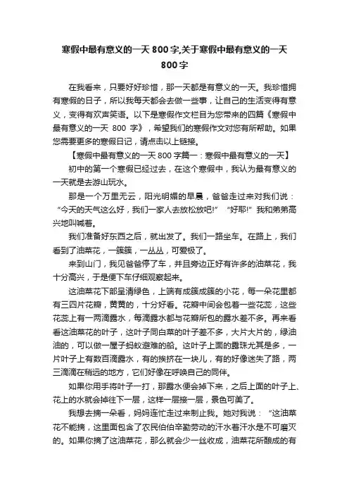 寒假中最有意义的一天800字,关于寒假中最有意义的一天800字
