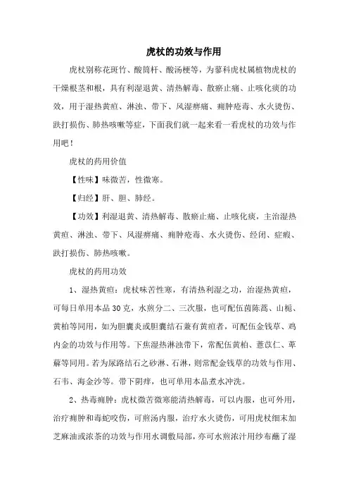 虎杖的功效与作用