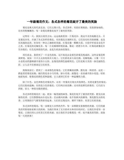 一年级菊花作文：各式各样的菊花绽开了最美的笑脸